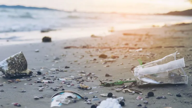 Playa más contaminada de EU