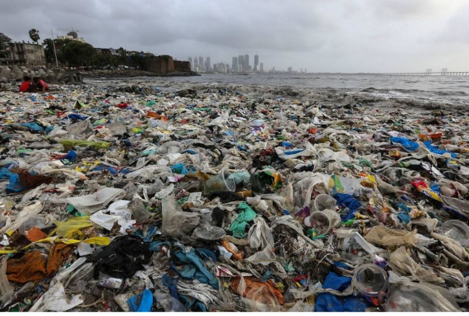 Basura 2