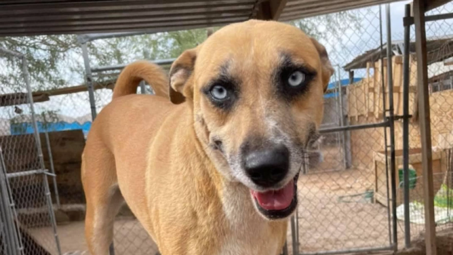 Captura de pantalla 2025-01-03 132353.png