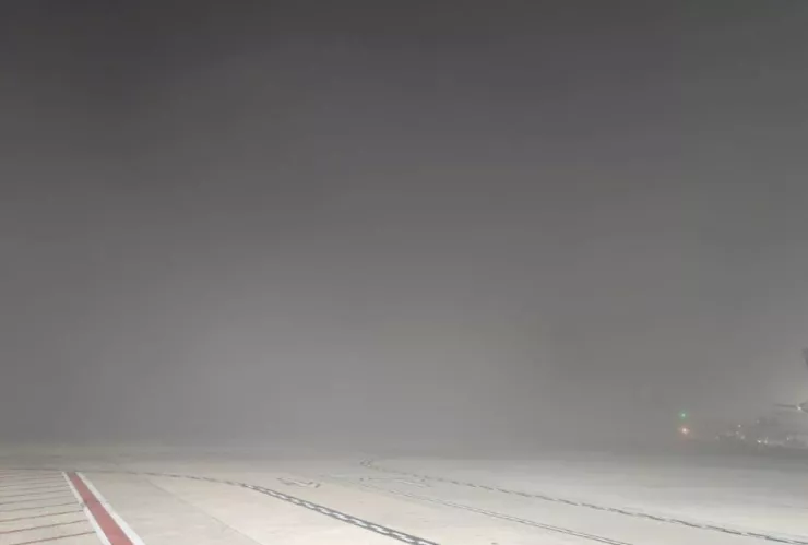 Neblina en Tijuana afecta vuelos hoy: aeropuerto emite aviso y pide consultar aerolíneas