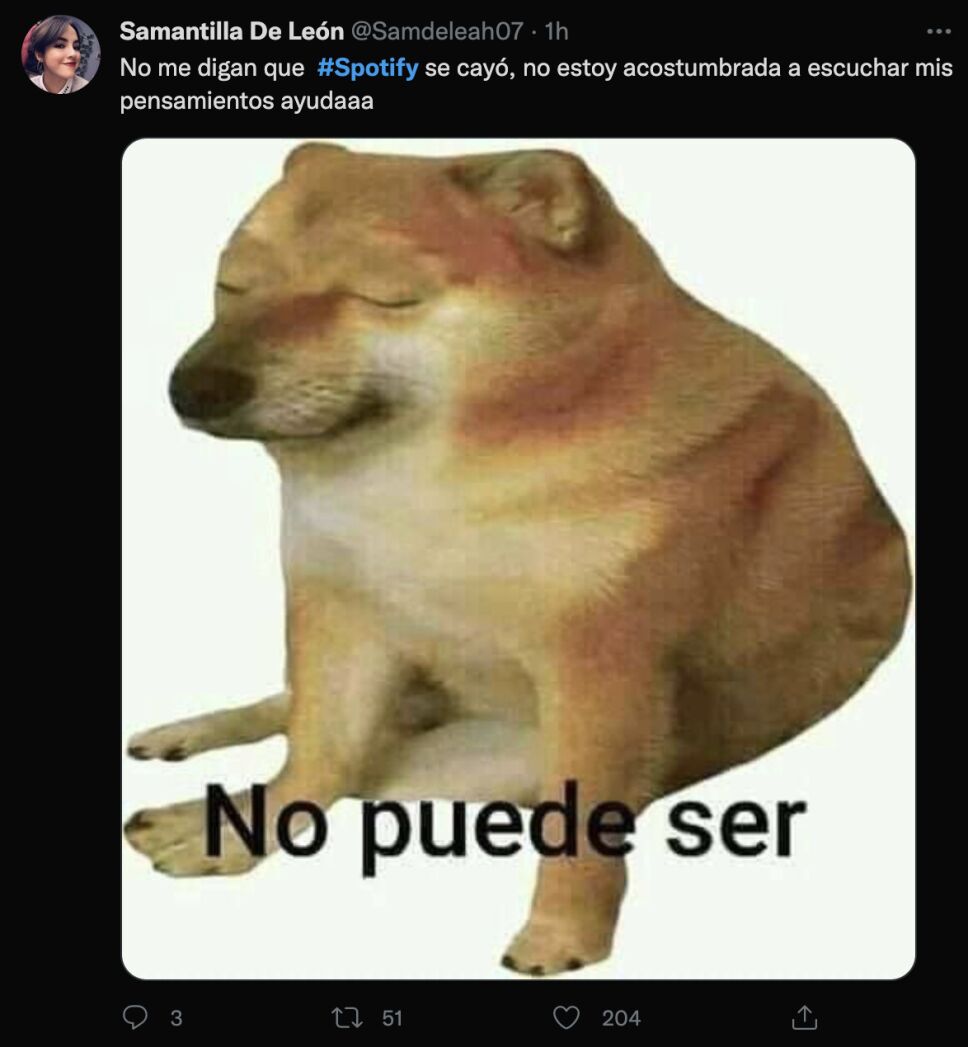 no puede ser caida de spotify meme