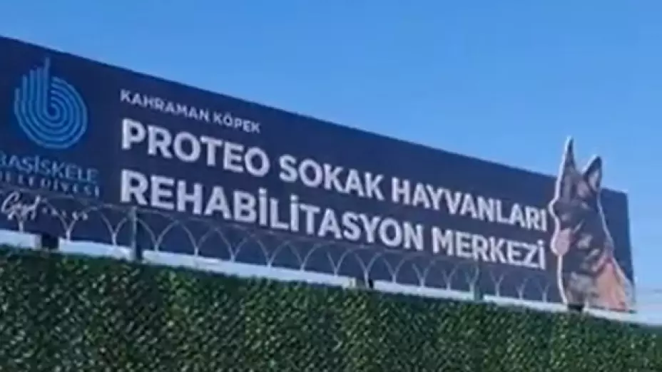 En Turquia, un Centro de Rehabilitación también se llamará Proteo, como el perro rescatista mexicano