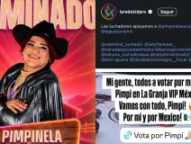 ¡La lucha por salvarlo ya comenzó! Estas figuras del pancracio apoyan a Pimpinela en La Granja VIP