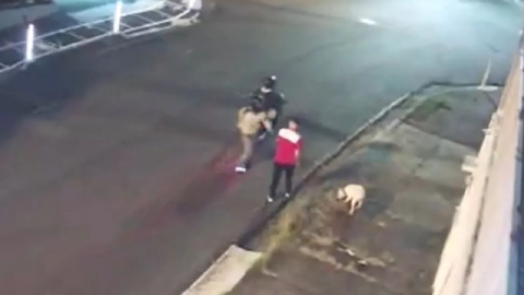 Video Perrito pierde una pata tras salvar a su dueño de un asalto