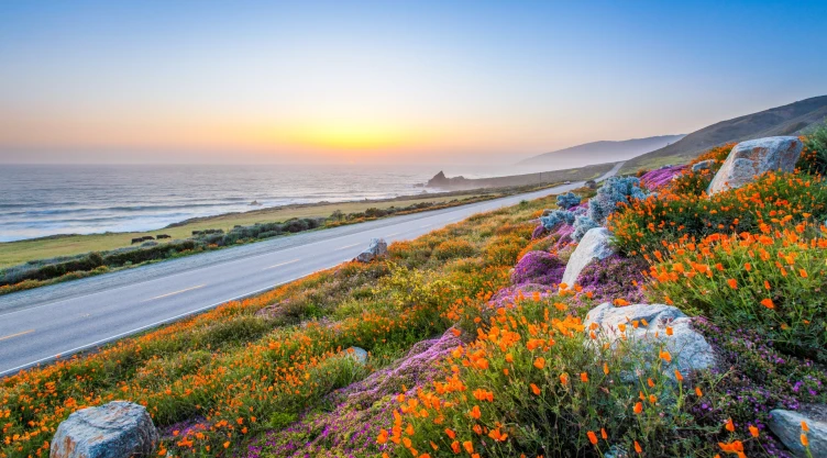 una hermosa vista del tramo natural Big Sur repleto de flores