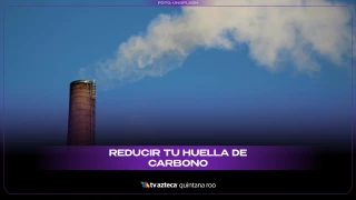 Así puedes reducir considerablemente tu huella de carbono en el mundo.jpg