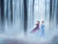 Anna, su valiente hermana decide acompañarla en esta aventura.