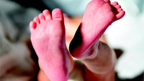 Confirman dos muertes más en bebés por tos ferina en México: ¿Cuántos fallecidos hay en total?