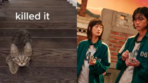 gatito juego del calamar