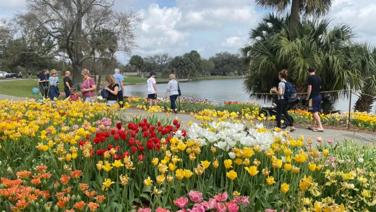 Un parque lleno de flores en primavera en Luisiana.
