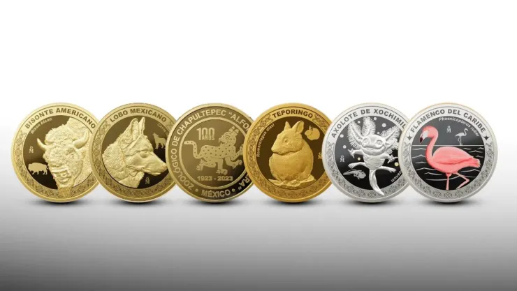 Nueva moneda conmemorativa del ajolote regresa a la venta, ¿cuál es su costo?