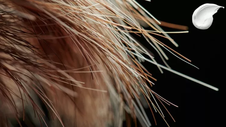 El paso a paso para hacer una mascarilla para hidratar las puntas secas de tu cabello, según la IA.jpg