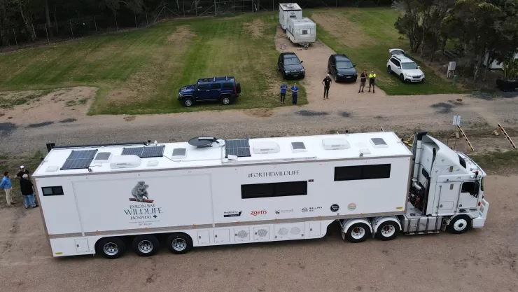 Byron Bay Wildlife Hospital