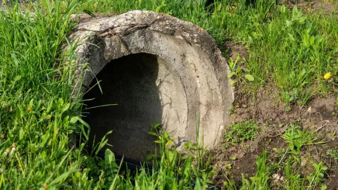 Dejan cadáver en canal de colonia Las Torres en Tijuana, BC