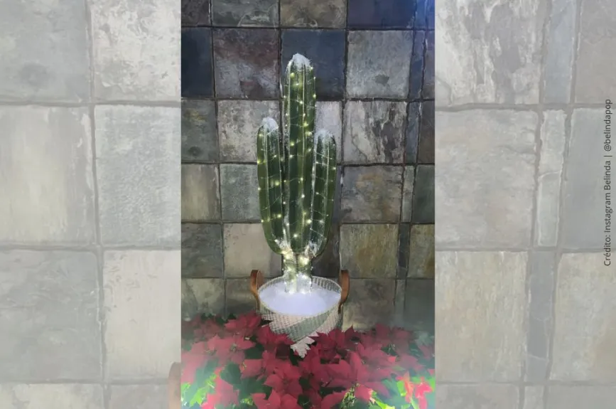 Belinda Navidad.jpg