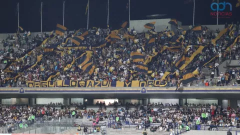 Hombres prefieren ver futbol que tener sexo