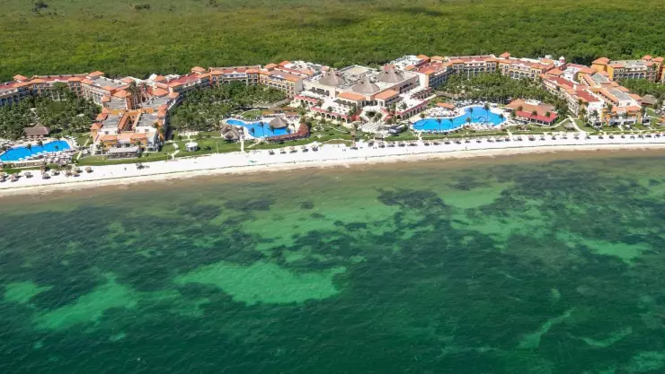 Crean en Quintana Roo el Centro Integral de Saneamiento y Economía Circular del Sargazo.jpg