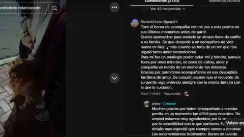 Despiden a perrita con serenata antes de morir. (1).jpg