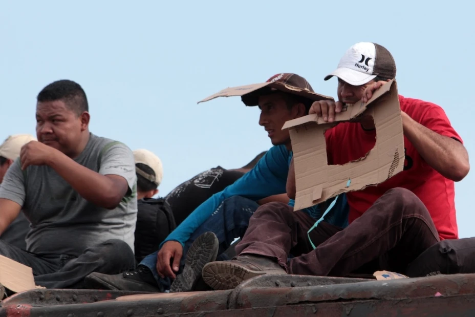Migración