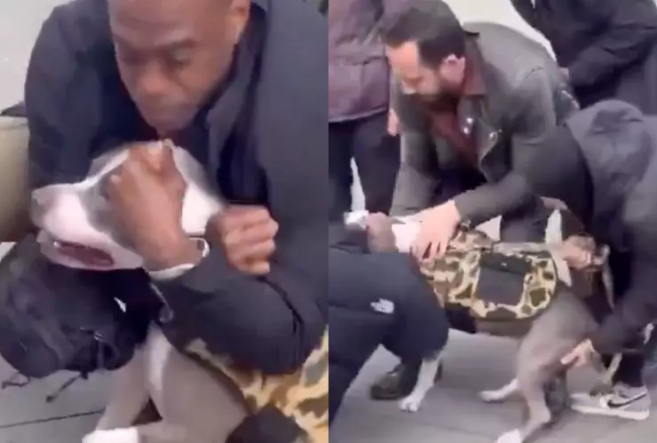 VIDEO ¡IMÁGENES SENSIBLES! Bebé atacado brutalmente por un pitbull en plena calle en Nueva York