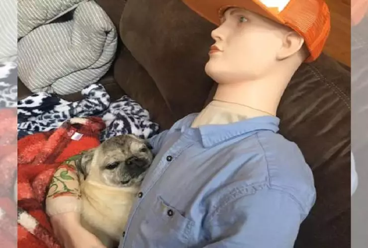 Viral Perrito extraña a su dueño, se conforma con su maniquí