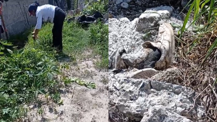 Madres-buscadoras-localizan-cuerpo-en-una-fosa-clandestina-en-Tonalá-Jalisco