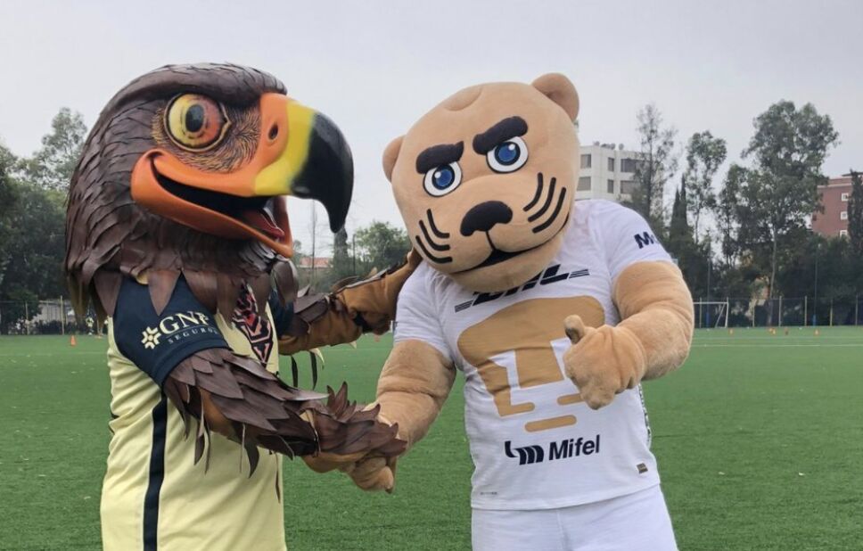 ONU pide paz y respeto en el partido América Pumas