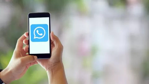 WhatsApp Plus, qué es, por qué b.jpg