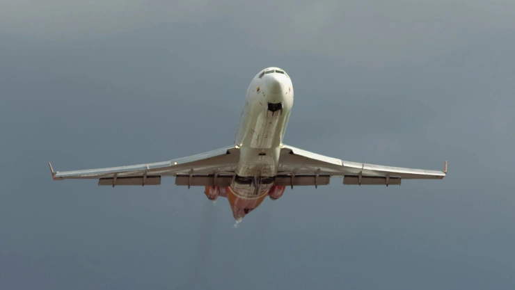 Incidente aéreo con pasajera rebelde en EUA marzo 2025.jpg