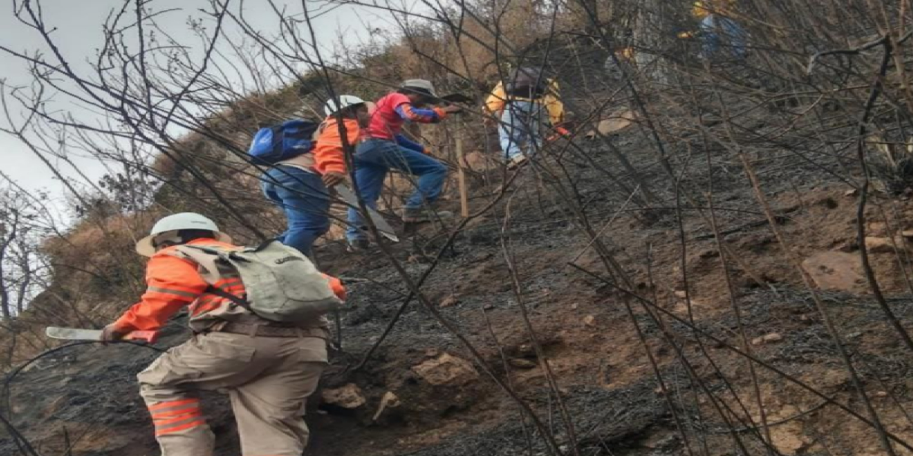 300 Brigadistas combaten incendio en el Cañón del Sumidero.png