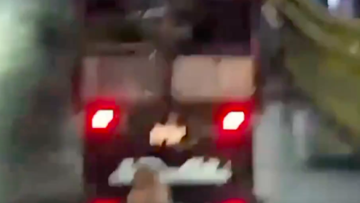 Perrito abandonado Puebla