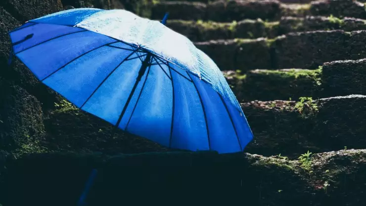 Clima Veracruz hoy, 14 de noviembre 2024: ¿Cuál es el pronóstico del tiempo por municipio?