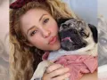 Shakira (8).jpg