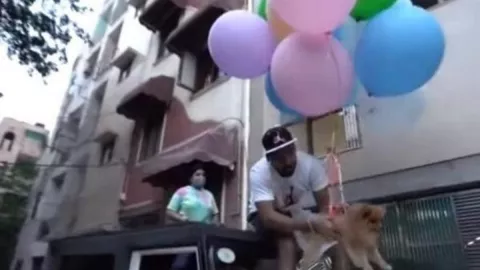 youtuber-perro-globos.jpg