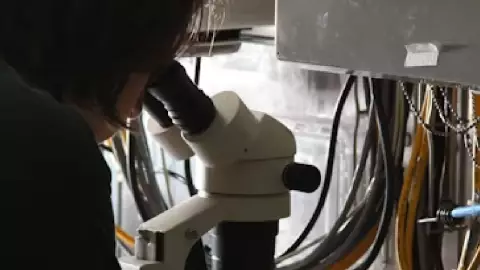 Efemérides del 25 de enero ¿Qué se celebra hoy