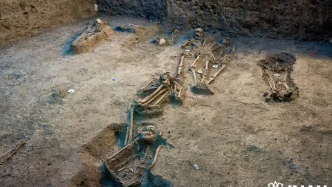 Expertos del INAH recolectaron restos óseos de 21 personas un cementerio del periodo virreinal en Chapultepec.