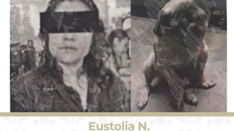 Mujer golpeó perro Puebla