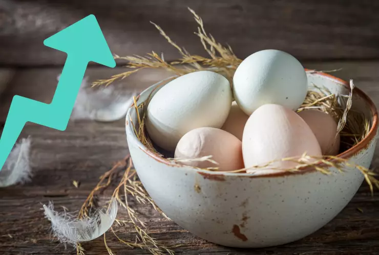_¿Por qué hay escasez de huevo en Estados Unidos y cómo afectará a Guanajuato.png