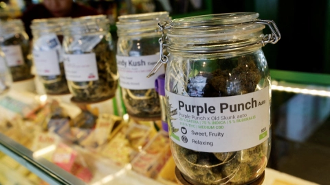 Otorgan licencias para vender marihuana en Nueva York