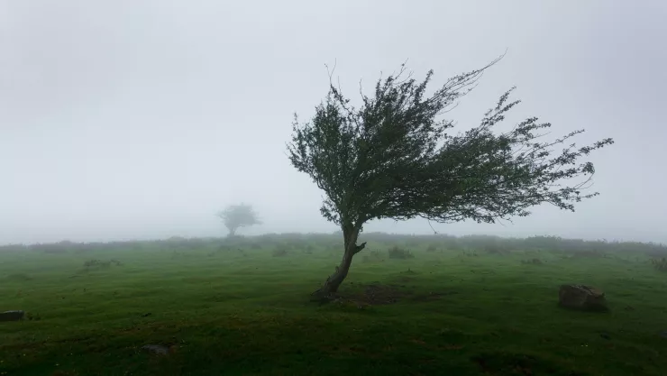 Clima Aguascalientes ¿Afectará en la temperatura el ingreso del Frente Frío 31 en próximos días