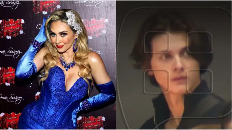 reacción aracely arambula-hijos de luis miguel-ventaneando