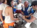 HAYTAP recoge a animales heridos por los incendios en Turquía