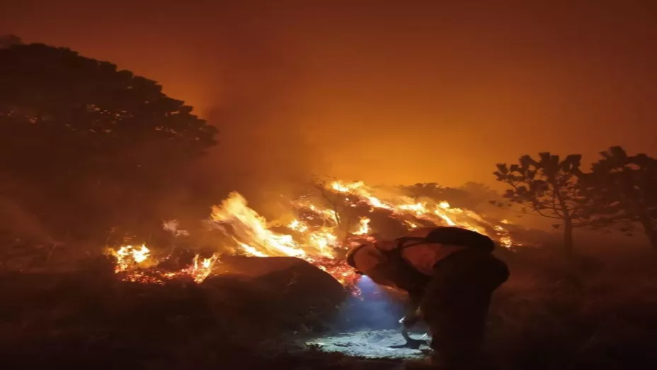 Incendio forestal_SEDEMA.jpg