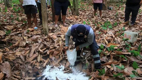 Monos muertos por ola de calor