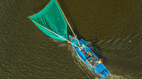 búsqueda del barco camaronero