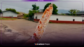 ¡De la milpa a la mesa! Elotes en Chiapas: inicia la temporada más esperada del año