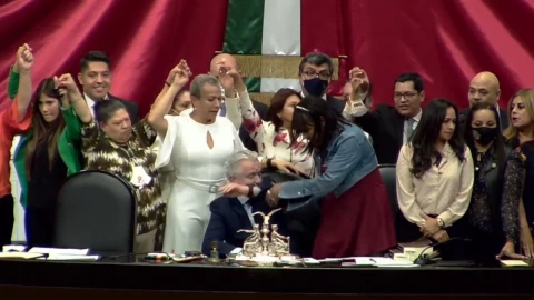 Quadri diputada trans tribuna