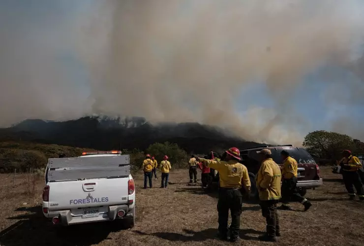 INCENDIO LA PRIMAVERA.jpg