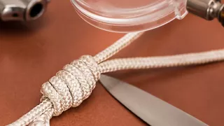 detenidos en centro de rehabilitación de querétaro.jpg