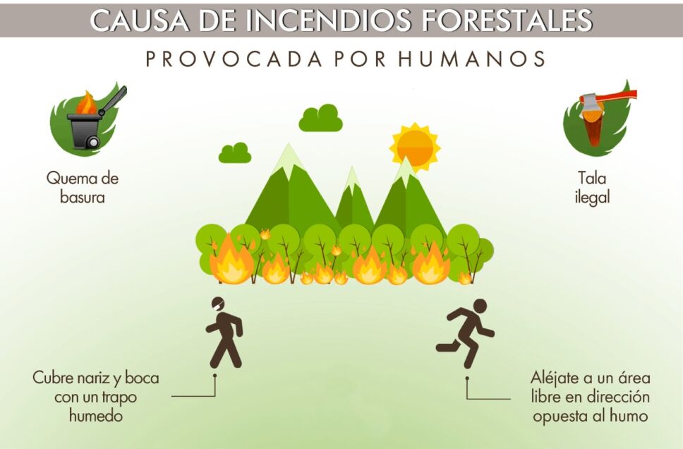 Bacalar registra el primer incendio de la temporada 2022